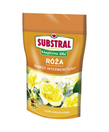 Substral nawóz do róż