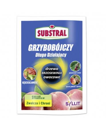 SYLLITE 65 WP/N Substral