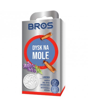 Dysk na mole