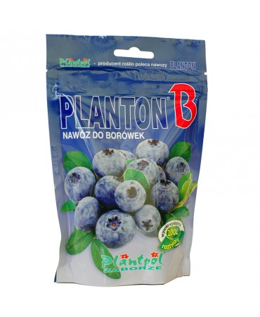 PLANTON B (borówki)