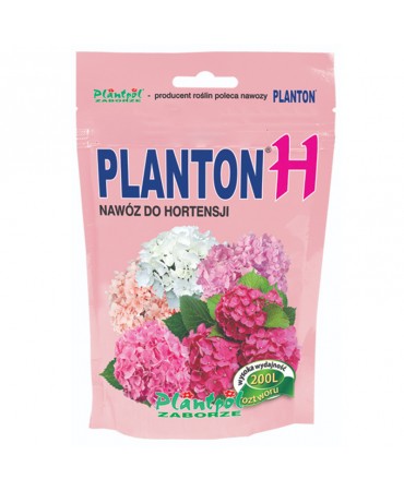 PLANTON H (hortensja)
