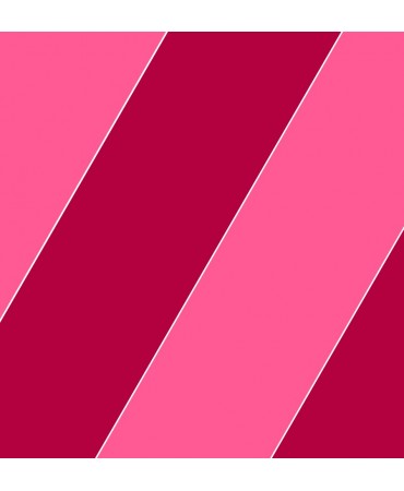 PIGMENT DO DRUKU - CZERWIEŃ LBT