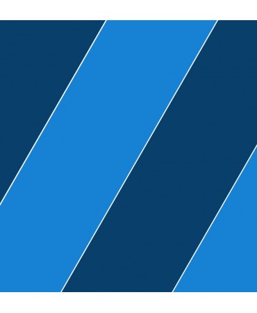 PIGMENT DO DRUKU - NIEBIESKI LBS