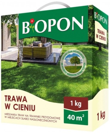 Trawa w cieniu