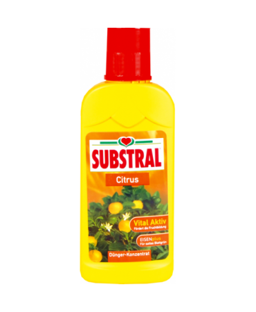 Substral nawóz do cytrusów 