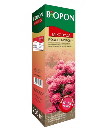 MIKORYZA RODODENDRONY