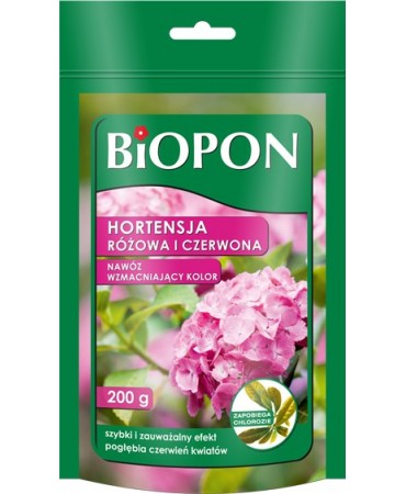 HORTENSJA RÓŻOWA I CZERWONA