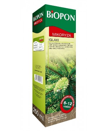 MIKORYZA DO IGLAKÓW