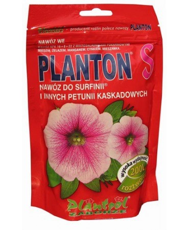 PLANTON  S /surfinie,petunie/